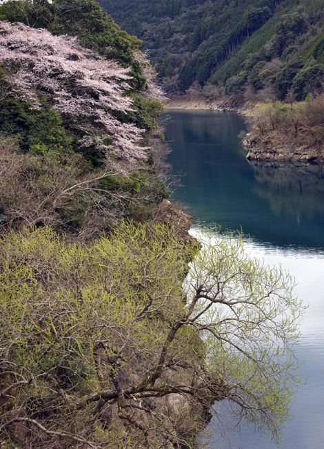 d0147530_637413.jpg
