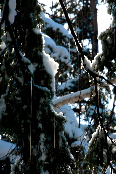 e0025030_18571661.jpg