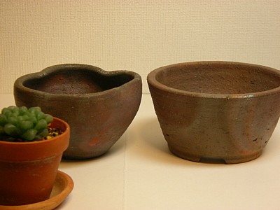 c0038434_2075958.jpg