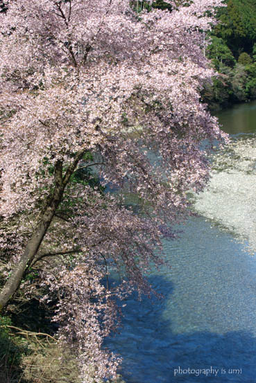 e0083238_21202992.jpg