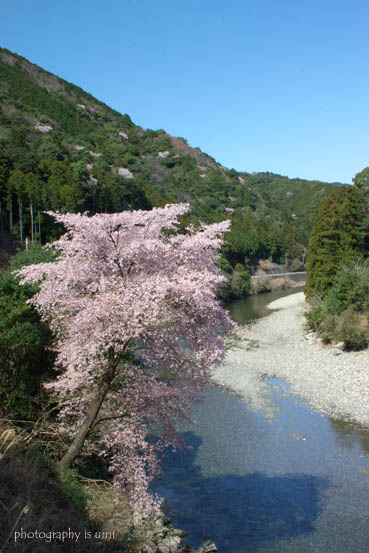 e0083238_21204938.jpg