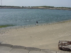 d0129745_7281682.jpg