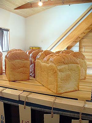a0074650_21532260.jpg