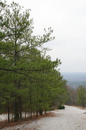 f0032653_12103441.jpg