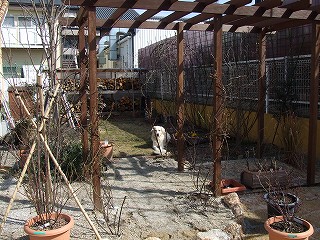 a0104162_11223232.jpg