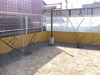a0104162_11225316.jpg