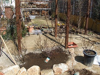 a0104162_11234493.jpg