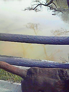 d0120665_13363287.jpg