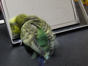 f0196665_23533110.jpg