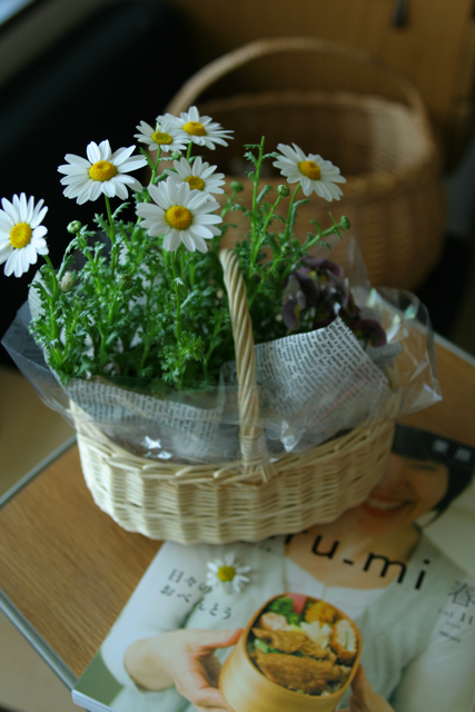 c0163369_14131211.jpg
