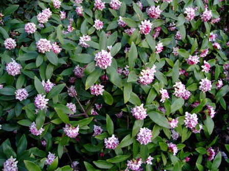 c0078480_0333792.jpg
