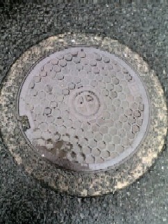 f0039281_1685590.jpg