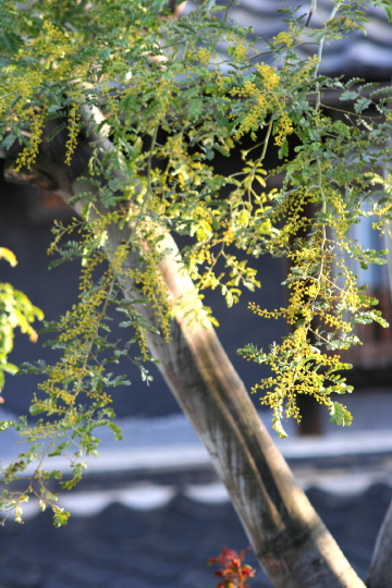 e0154682_2210486.jpg