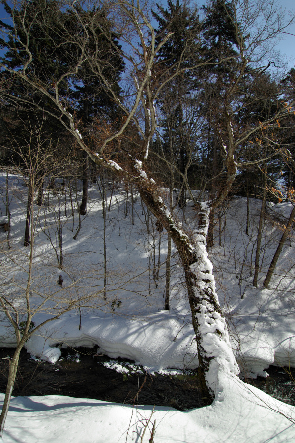 e0051186_20475450.jpg