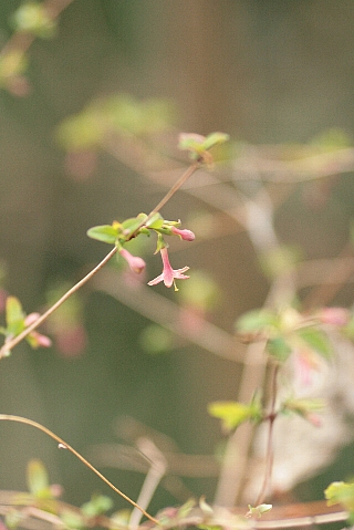 d0133693_17292095.jpg