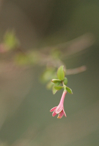 d0133693_17293189.jpg