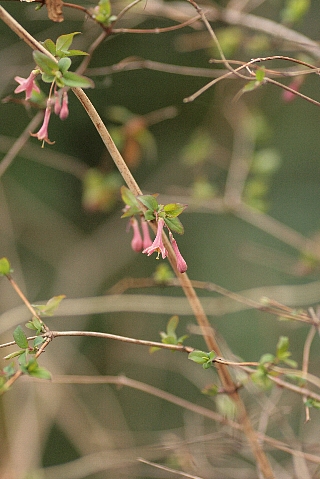 d0133693_173061.jpg