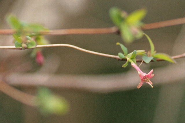 d0133693_17501616.jpg