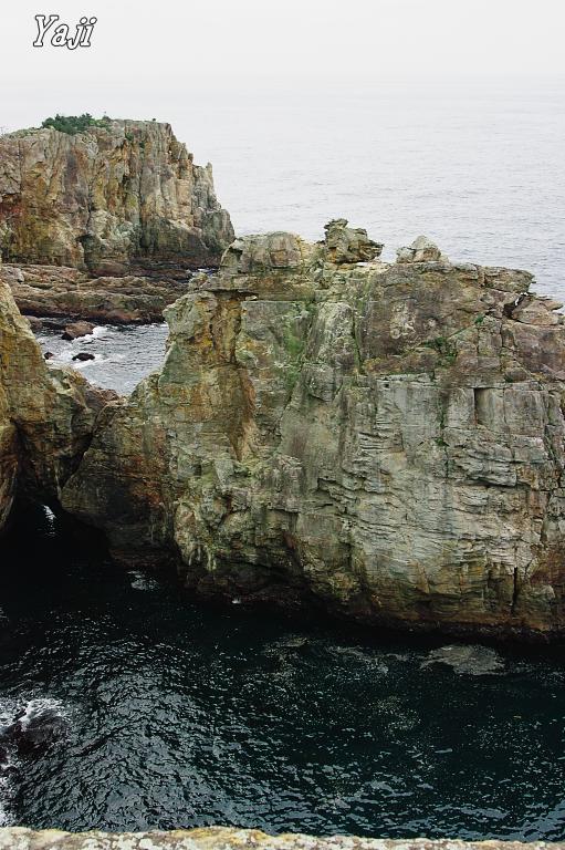 d0069495_719812.jpg