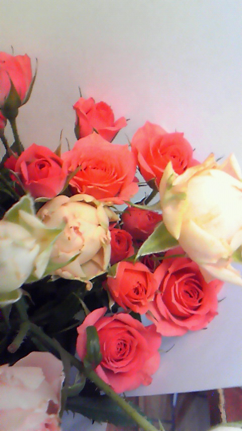 e0156298_031450.jpg