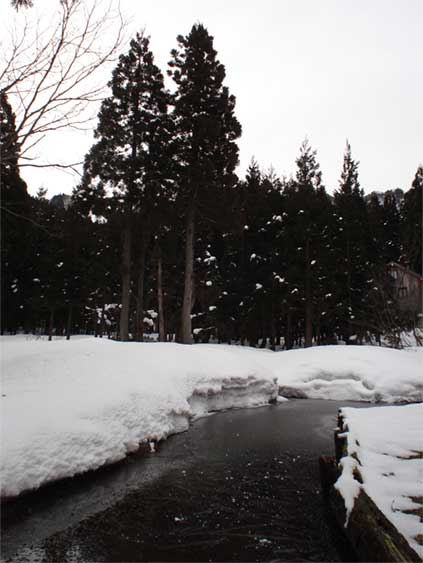 a0061599_753133.jpg