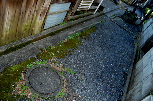 d0015006_9493995.jpg