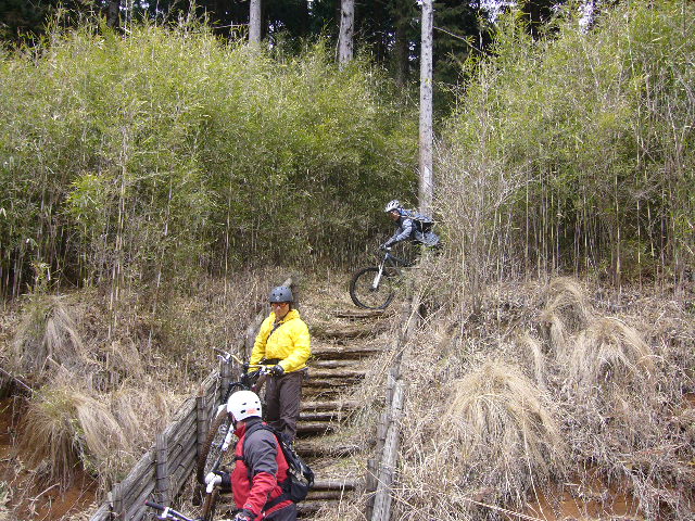 e0015108_819857.jpg