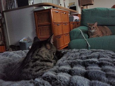 c0145016_223018.jpg