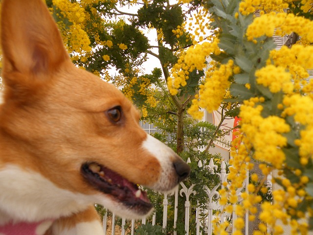 c0127617_18311527.jpg