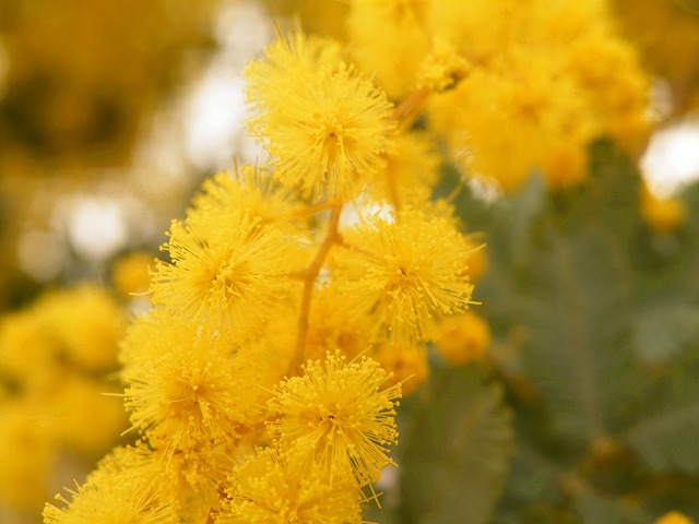 c0127617_18354646.jpg