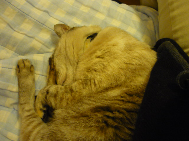 c0193017_2164153.jpg