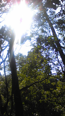 e0016120_2185945.jpg