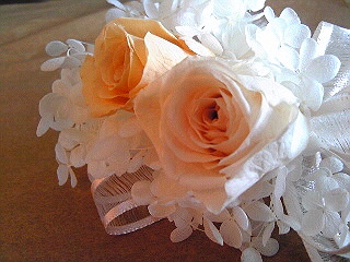 a0052621_1643242.jpg