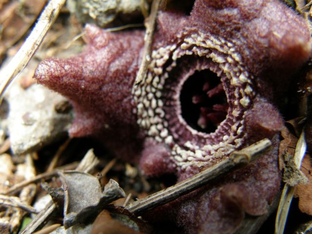 e0145033_2120194.jpg