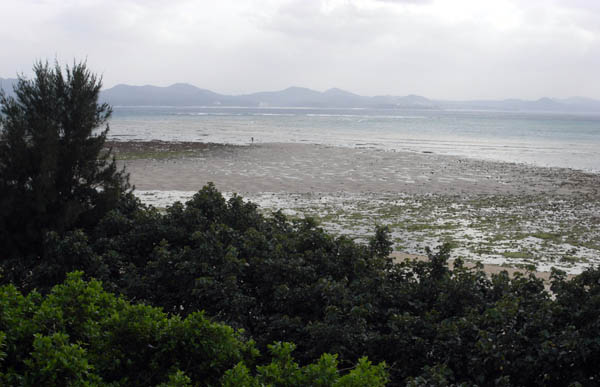f0175934_2223634.jpg
