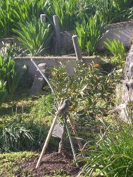 e0016836_9344210.jpg