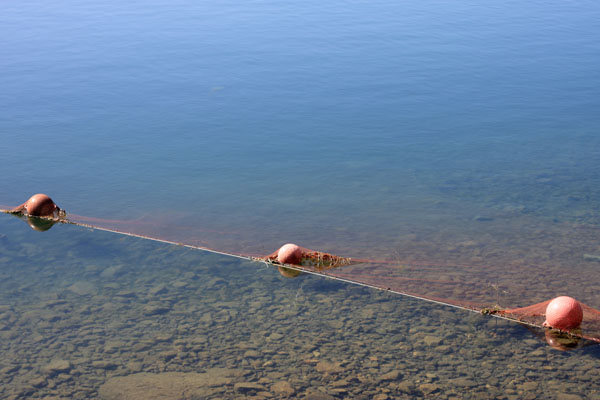 e0122855_1859759.jpg