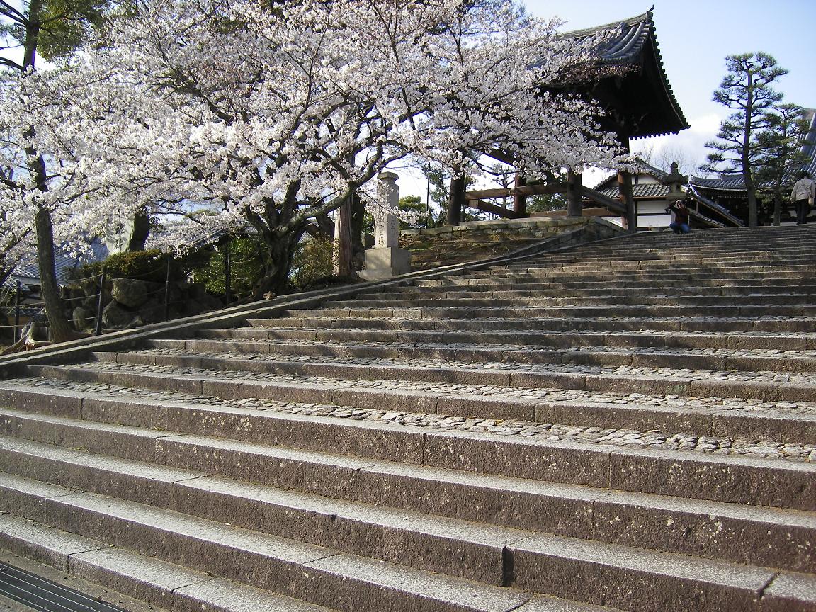 c0164364_1815424.jpg