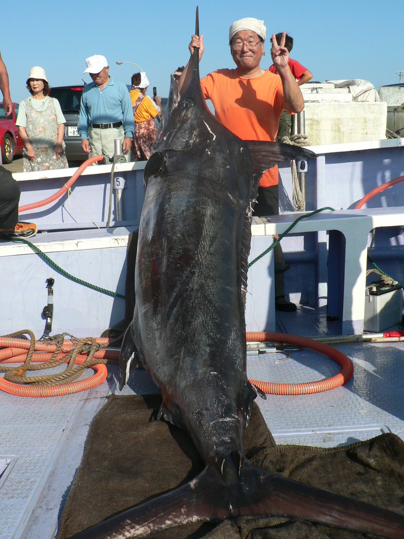 a0095069_1393445.jpg