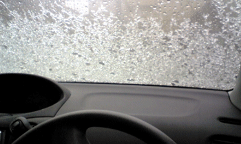d0050871_1627114.gif