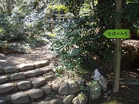 b0004675_14332974.jpg
