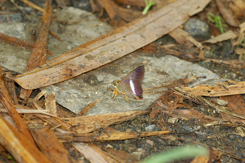 f0090680_21532635.jpg