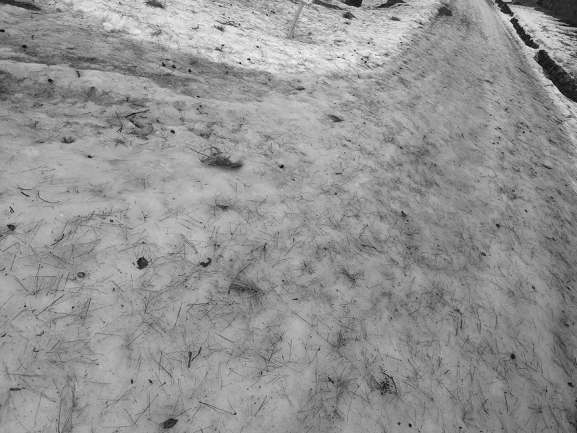 d0152981_11443179.jpg