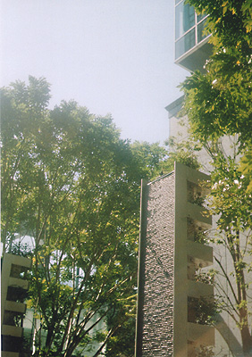 e0174382_2341282.jpg