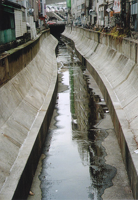 e0174382_23452567.jpg