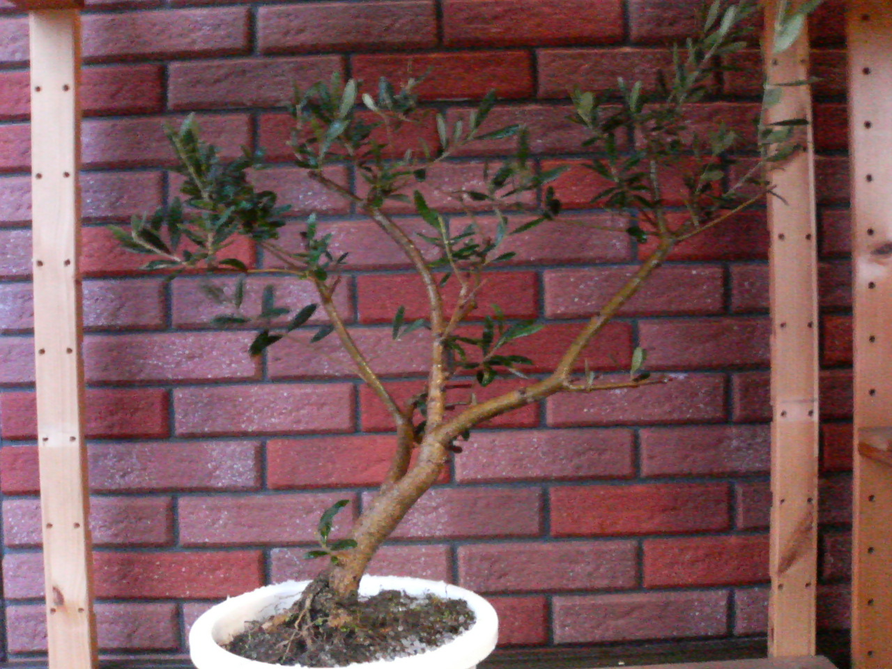 c0059383_17574895.jpg