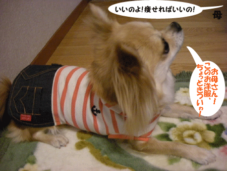 e0066883_21364542.gif