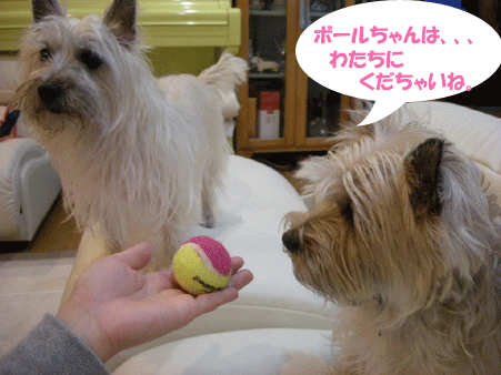 e0066883_21504054.gif