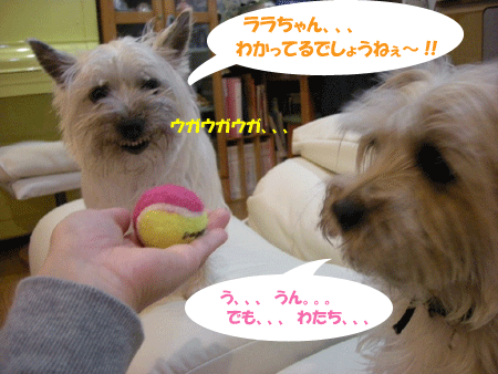 e0066883_21505776.gif