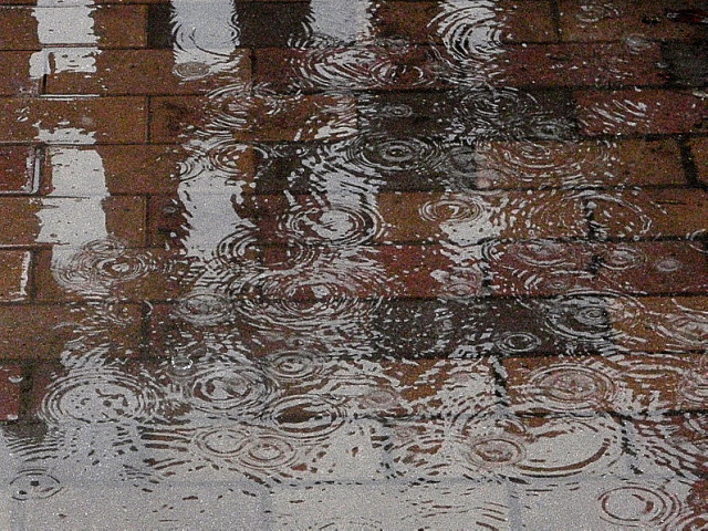 a0007388_11212439.jpg